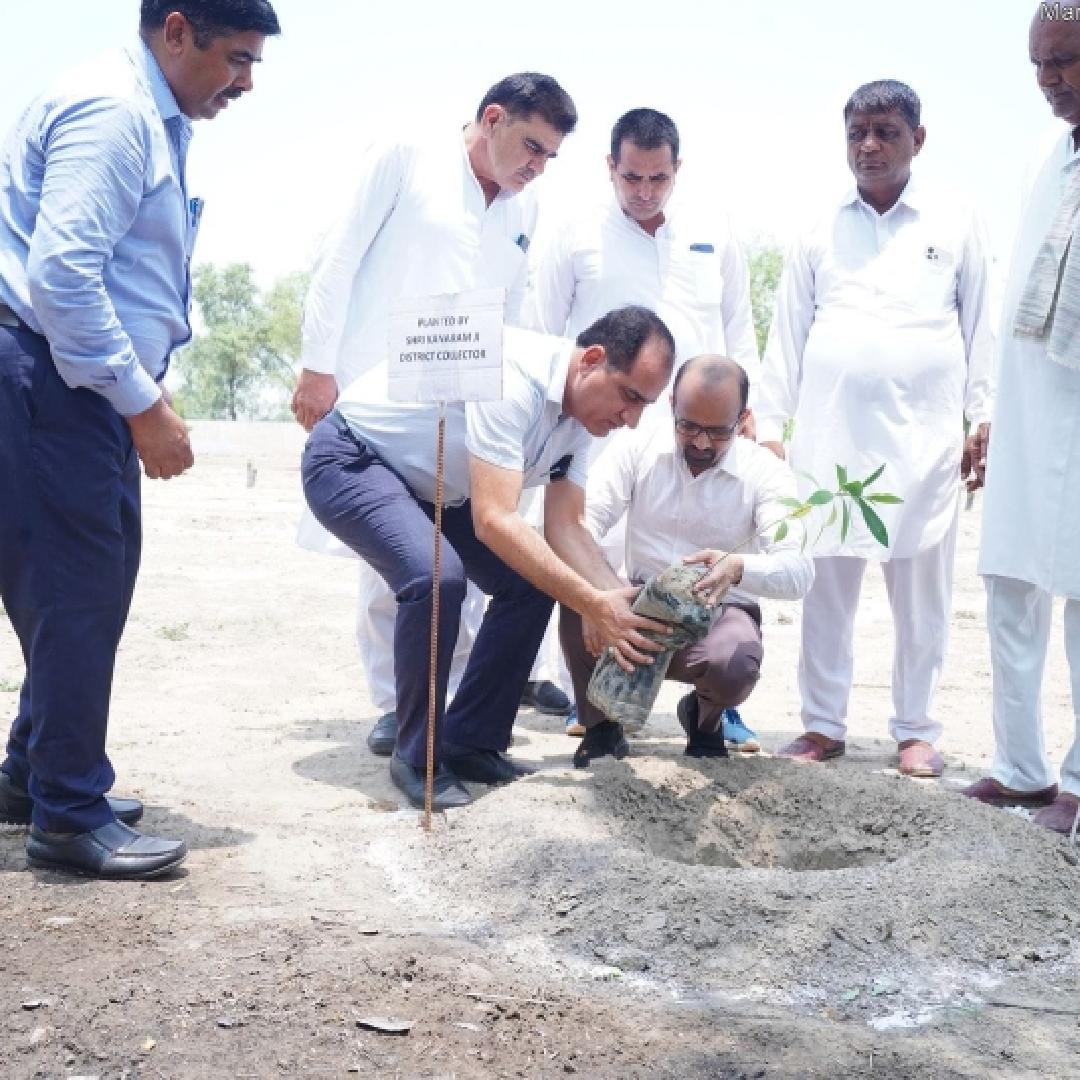 मुख्यमंत्री सघन व्रक्षारोपण